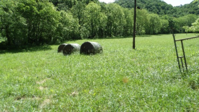 5155 Brimstone Creek Road Moss TN 38575