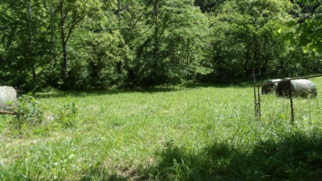 5155 Brimstone Creek Road Moss TN 38575