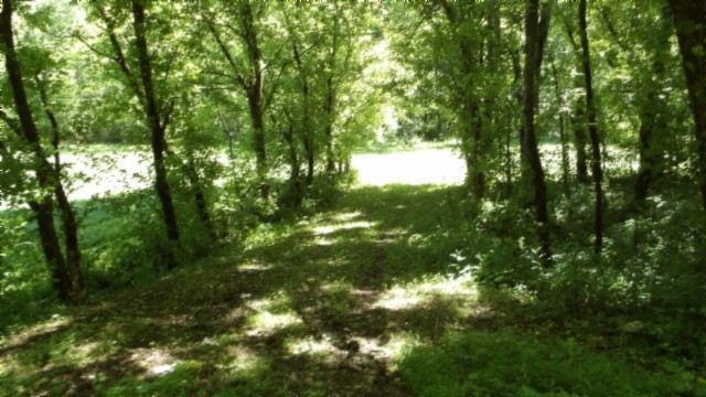 5155 Brimstone Creek Road Moss TN 38575