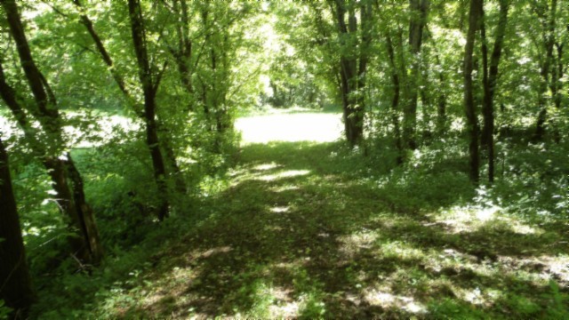 5155 Brimstone Creek Road Moss TN 38575