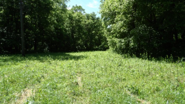5155 Brimstone Creek Road Moss TN 38575