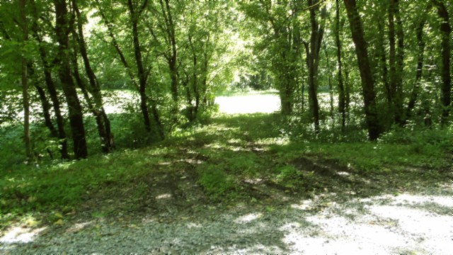 5155 Brimstone Creek Road Moss TN 38575