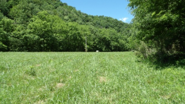 5155 Brimstone Creek Road Moss TN 38575
