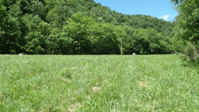 5155 Brimstone Creek Road Moss TN 38575