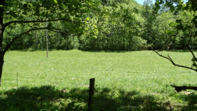 5155 Brimstone Creek Road Moss TN 38575