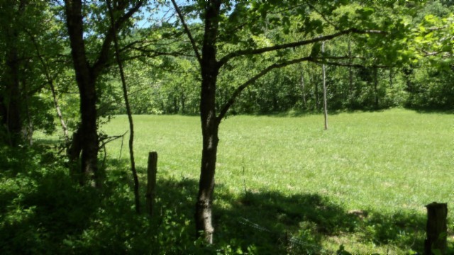 5155 Brimstone Creek Road Moss TN 38575