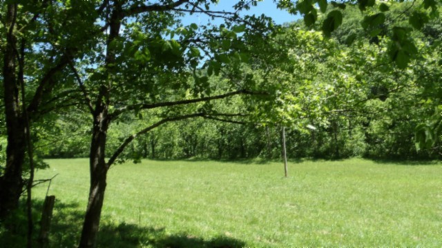 5155 Brimstone Creek Road Moss TN 38575
