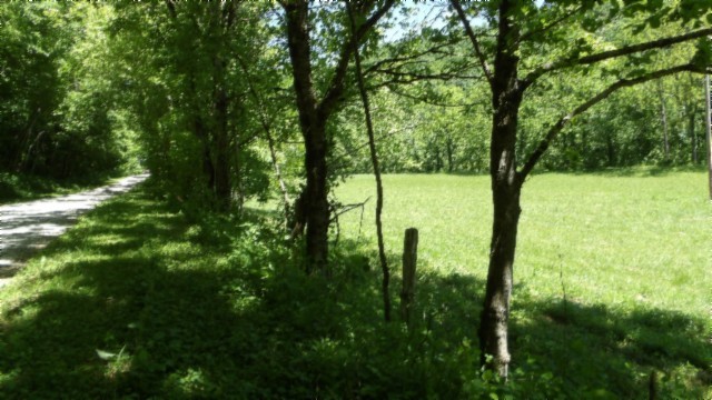 5155 Brimstone Creek Road Moss TN 38575