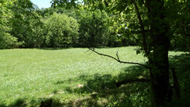 5155 Brimstone Creek Road Moss TN 38575