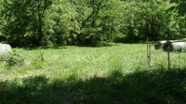 5155 Brimstone Creek Road Moss TN 38575
