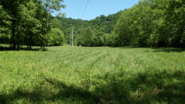 5155 Brimstone Creek Road Moss TN 38575