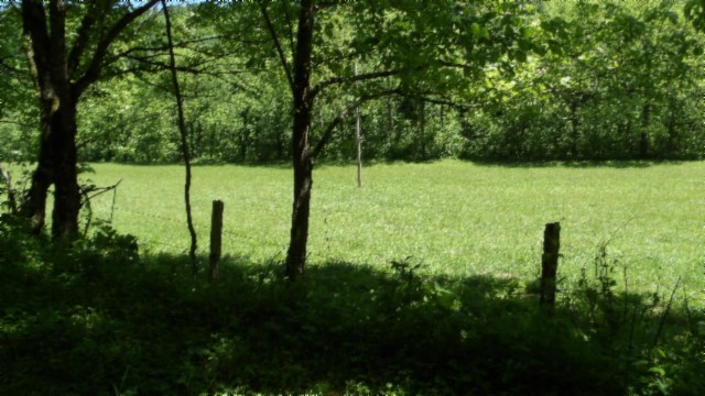 5155 Brimstone Creek Road Moss TN 38575