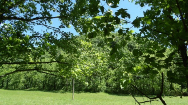 5155 Brimstone Creek Road Moss TN 38575