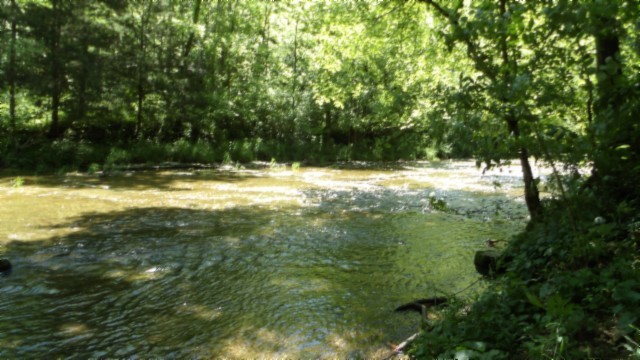5155 Brimstone Creek Road Moss TN 38575