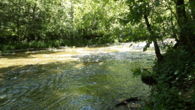 5155 Brimstone Creek Road Moss TN 38575