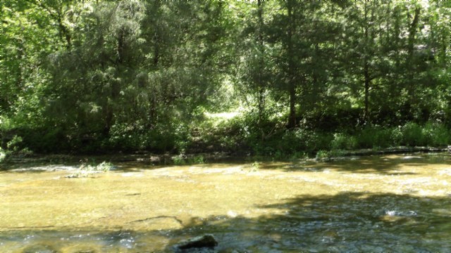 5155 Brimstone Creek Road Moss TN 38575