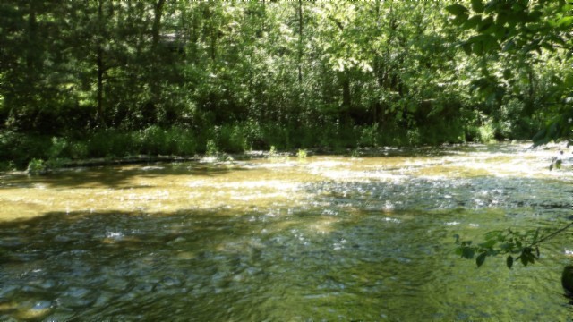 5155 Brimstone Creek Road Moss TN 38575