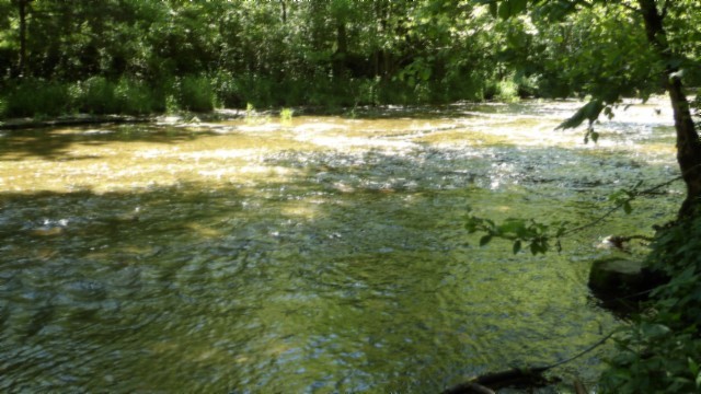 5155 Brimstone Creek Road Moss TN 38575