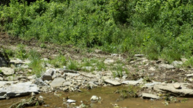 5155 Brimstone Creek Road Moss TN 38575