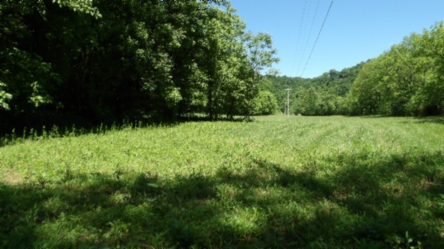 5155 Brimstone Creek Road Moss TN 38575