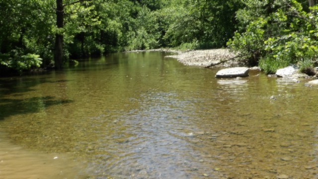 5155 Brimstone Creek Road Moss TN 38575