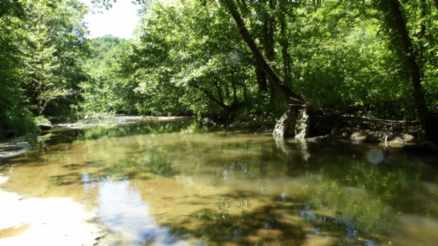 5155 Brimstone Creek Road Moss TN 38575