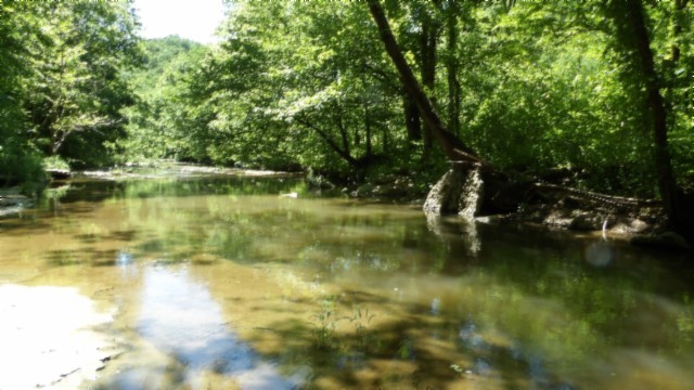 5155 Brimstone Creek Road Moss TN 38575