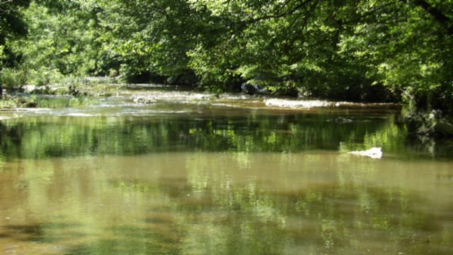 5155 Brimstone Creek Road Moss TN 38575