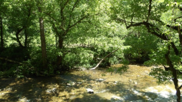 5155 Brimstone Creek Road Moss TN 38575