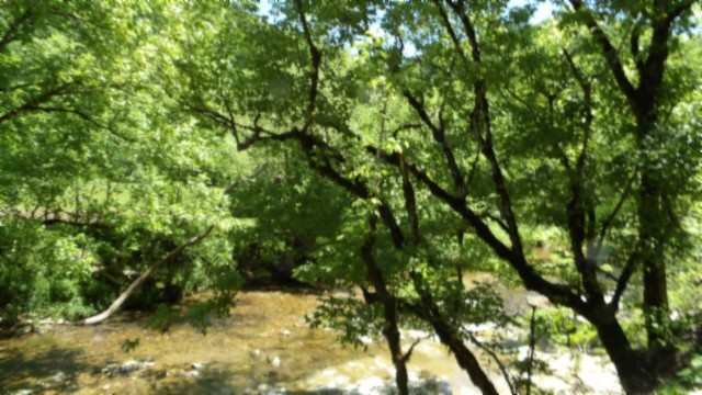 5155 Brimstone Creek Road Moss TN 38575