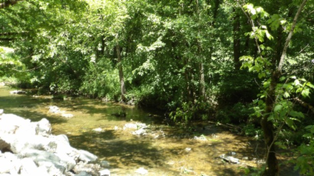 5155 Brimstone Creek Road Moss TN 38575
