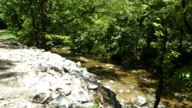 5155 Brimstone Creek Road Moss TN 38575