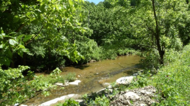 5155 Brimstone Creek Road Moss TN 38575