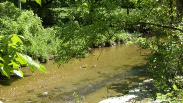 5155 Brimstone Creek Road Moss TN 38575