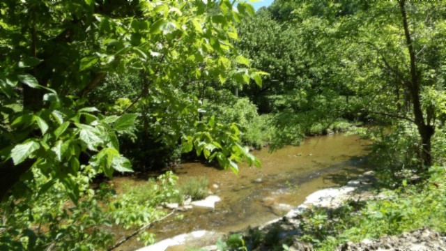 5155 Brimstone Creek Road Moss TN 38575