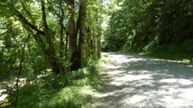 5155 Brimstone Creek Road Moss TN 38575