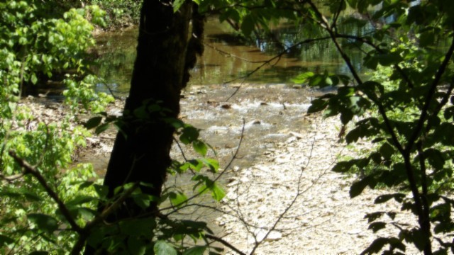 5155 Brimstone Creek Road Moss TN 38575