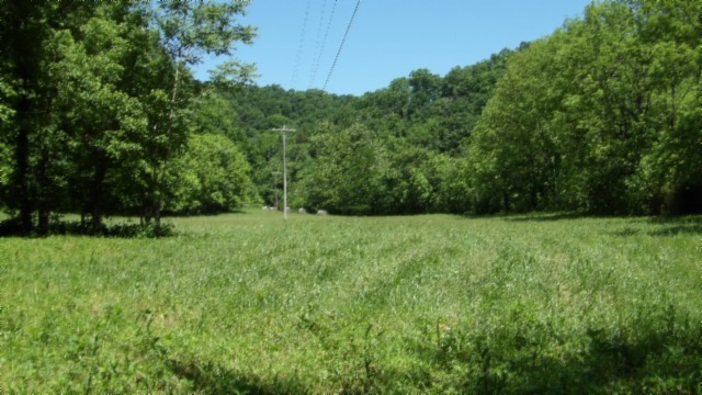 5155 Brimstone Creek Road Moss TN 38575