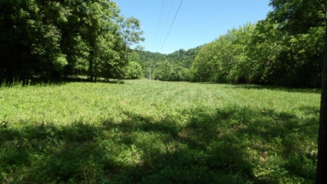 5155 Brimstone Creek Road Moss TN 38575