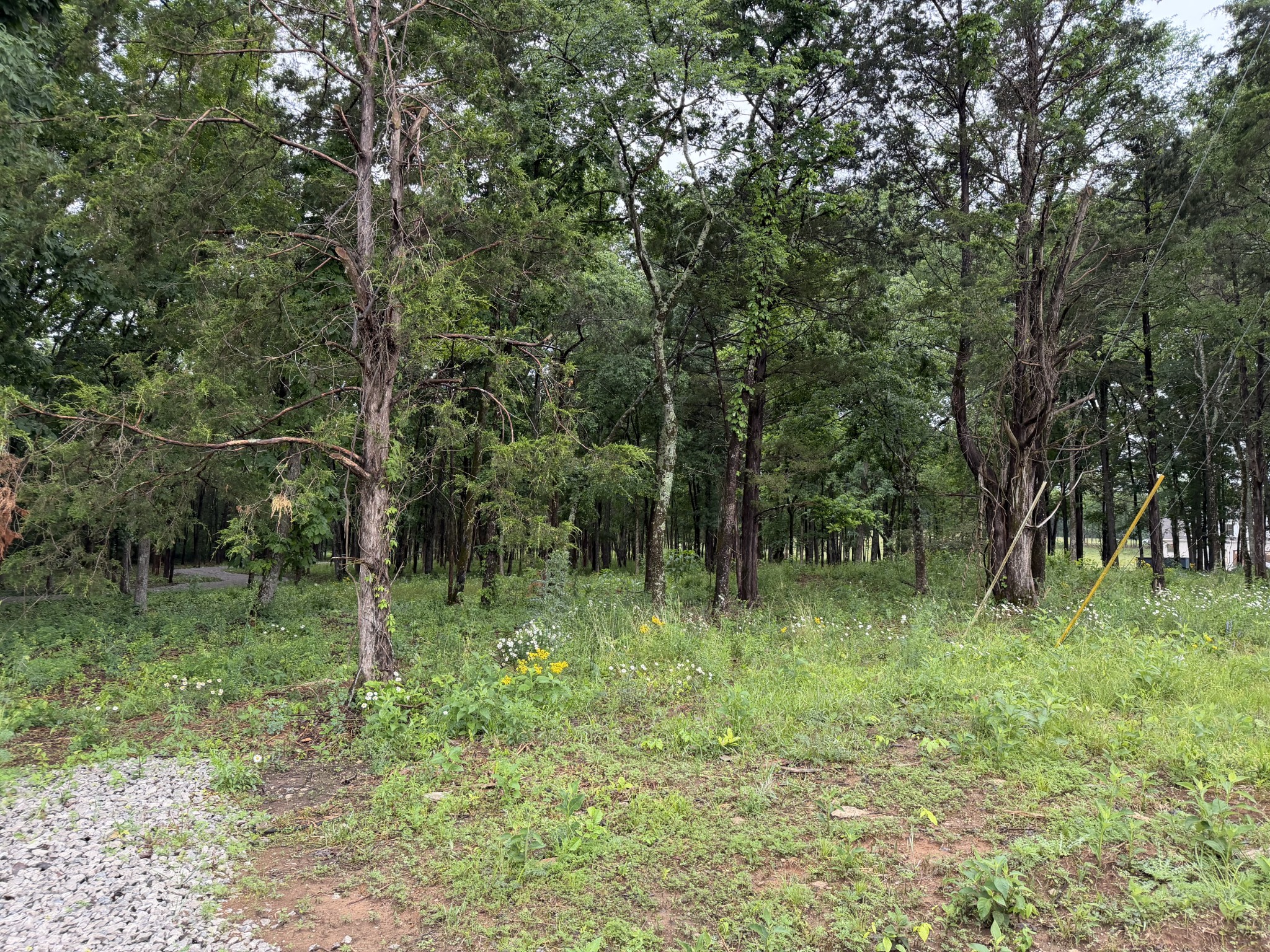 2827 Unionville Road Chapel Hill TN 37034
