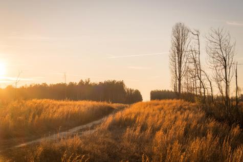 0 Deer Run Road Altamont TN 37301