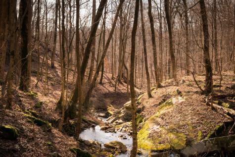0 Deer Run Road Altamont TN 37301