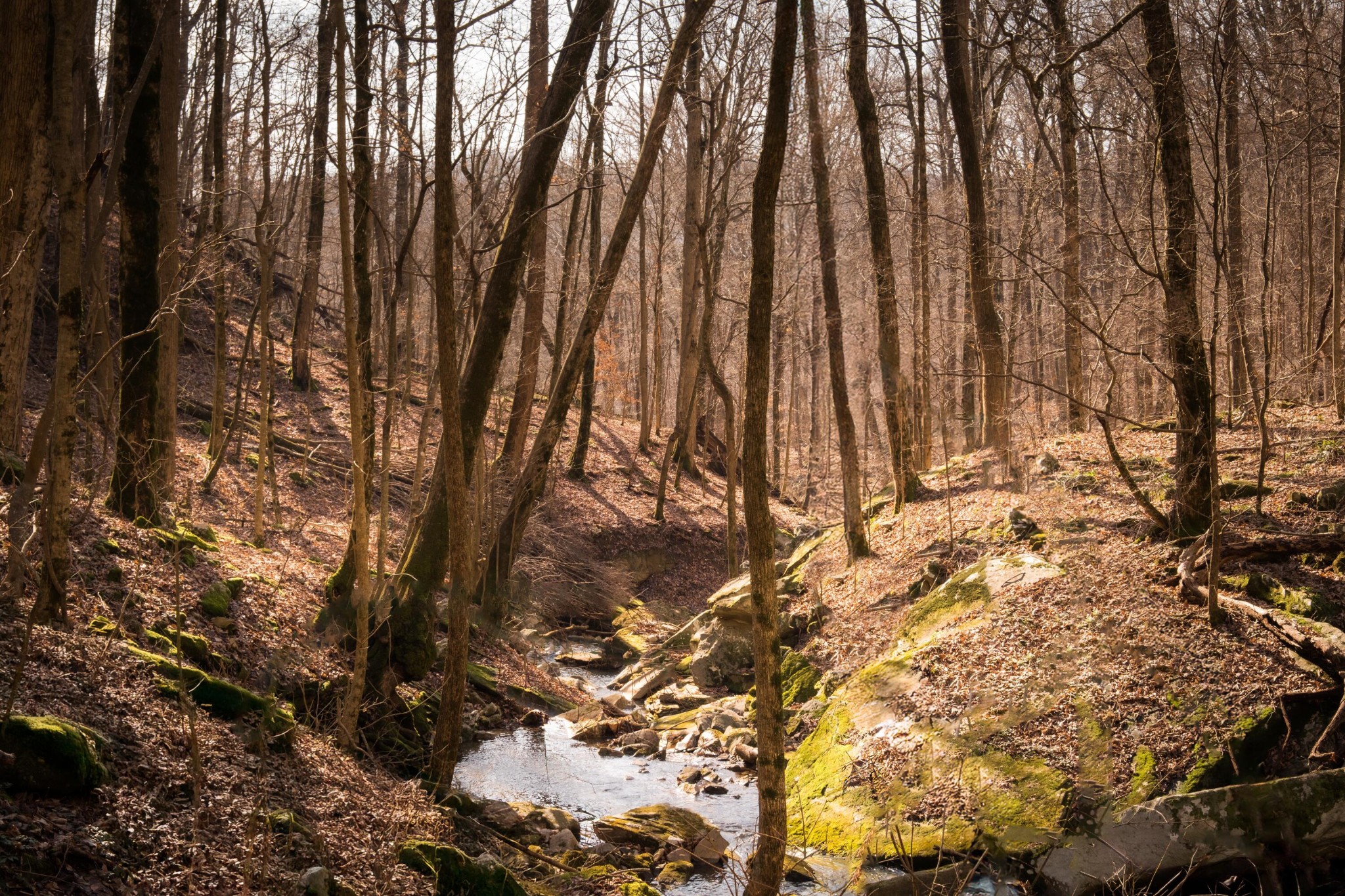 0 Deer Run Road Altamont TN 37301