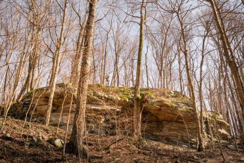 0 Deer Run Road Altamont TN 37301