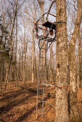 0 Deer Run Road Altamont TN 37301
