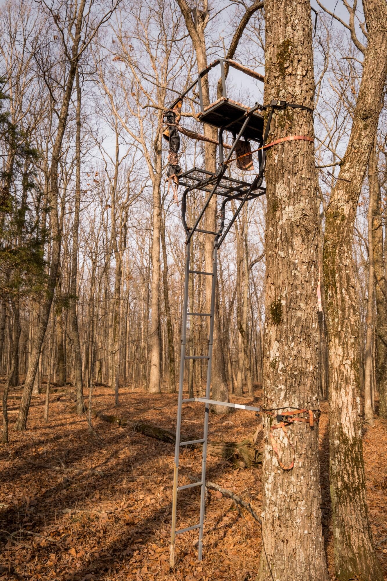 0 Deer Run Road Altamont TN 37301