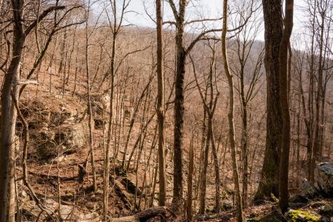 0 Deer Run Road Altamont TN 37301