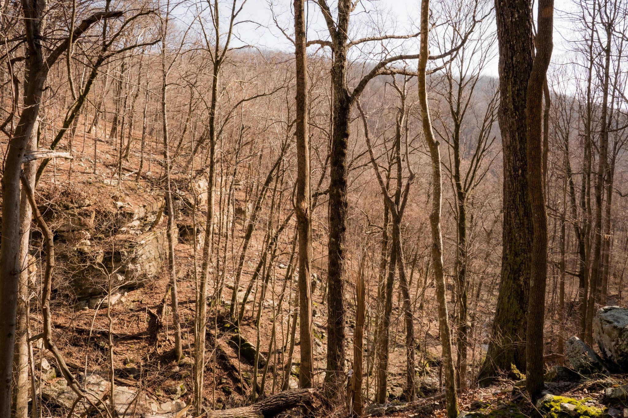 0 Deer Run Road Altamont TN 37301