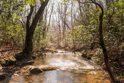 0 Deer Run Road Altamont TN 37301