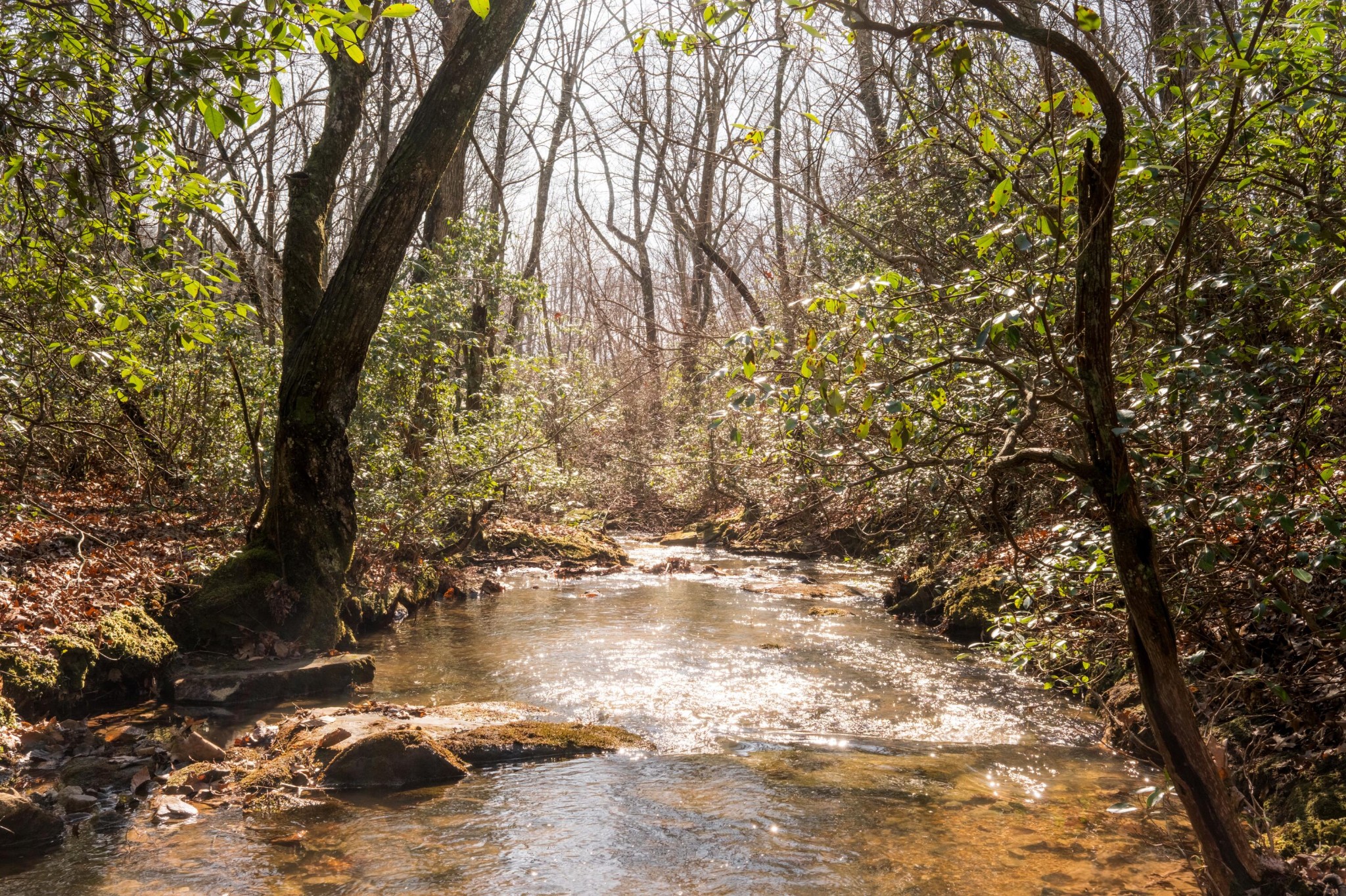0 Deer Run Road Altamont TN 37301